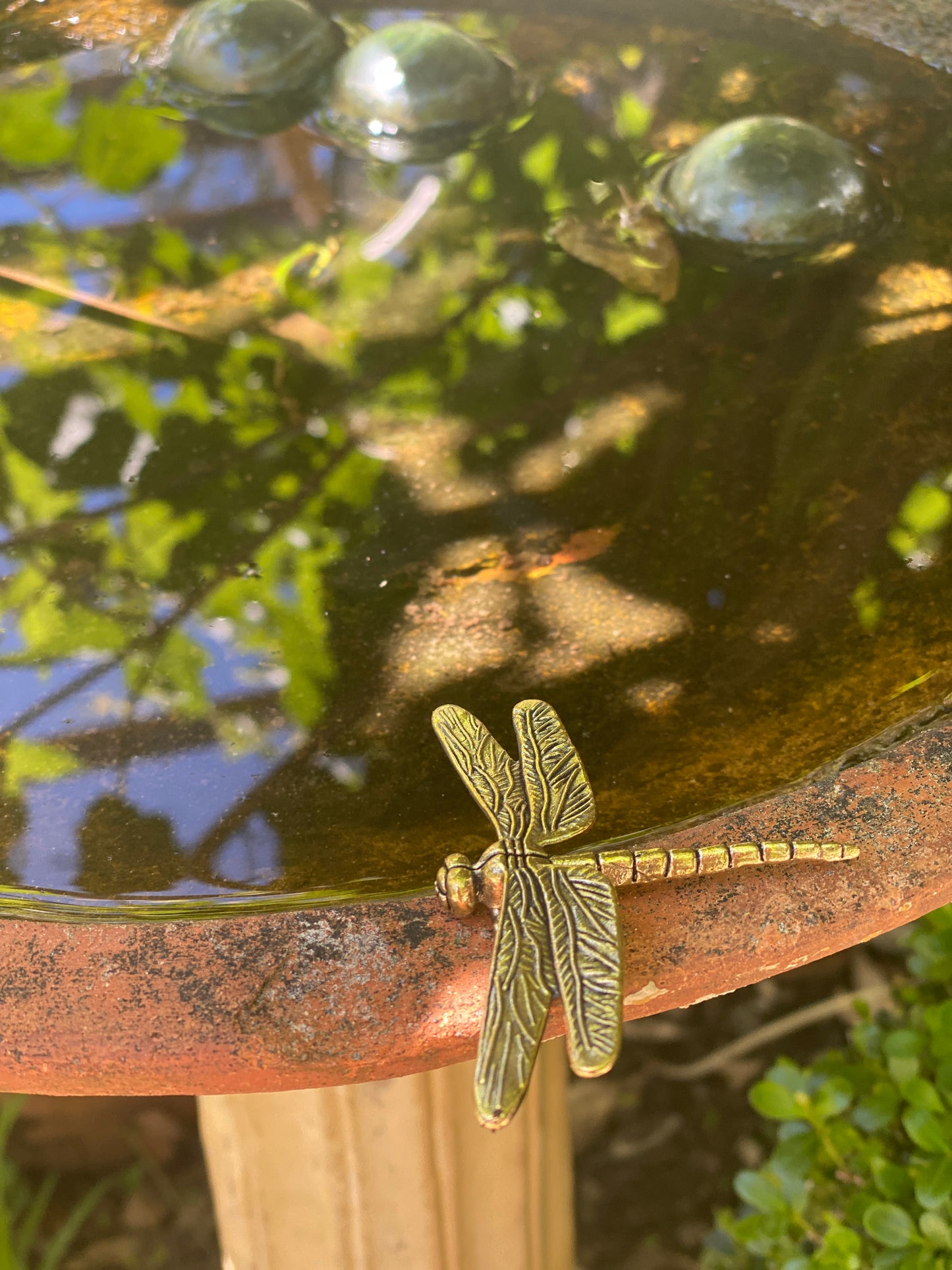 Brass Dragonfly