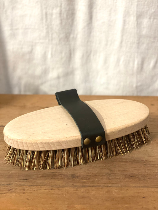Equestrian Grooming Brushes