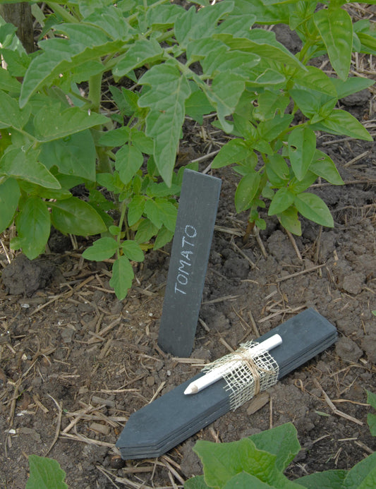 Slate label set - Heaven in Earth