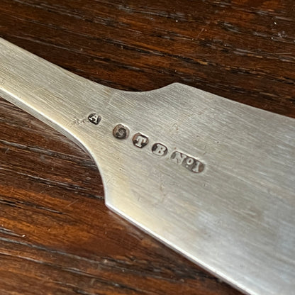 Silver Ladle Serving Spoon
