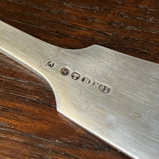 Silver Ladle Serving Spoon