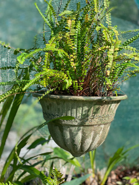 Garden Hanging Pot