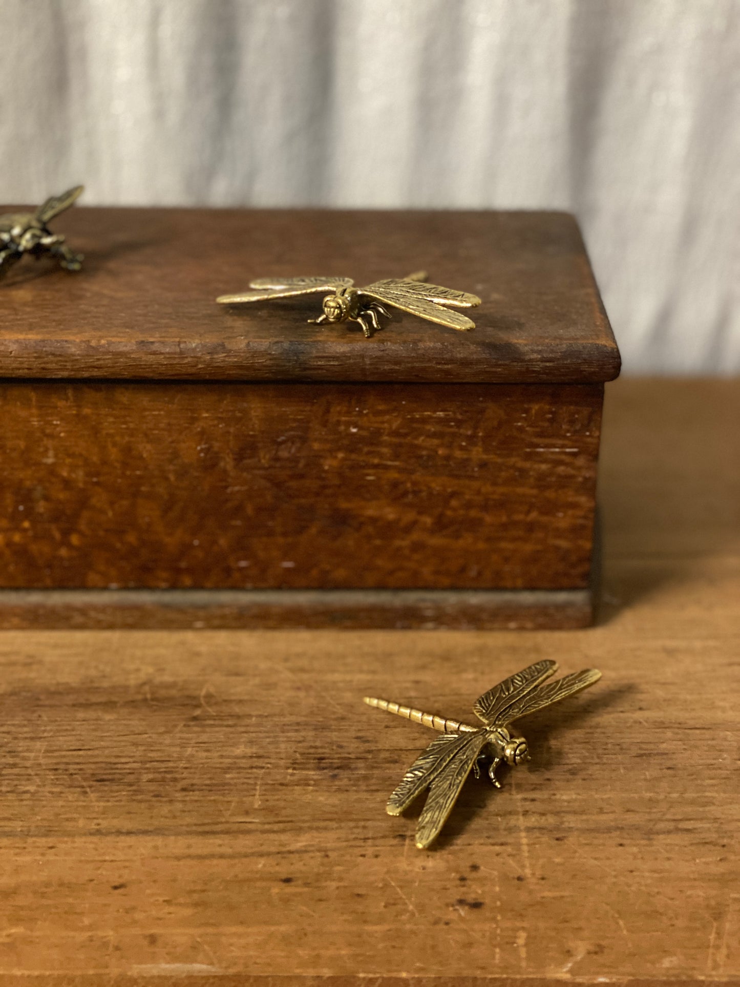 Brass Dragonfly