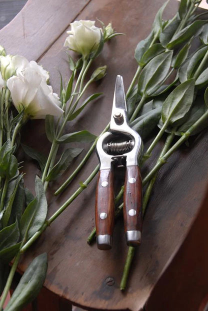 Garden Snips