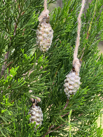 Glass Cone Cluster in Gold - Heaven in Earth